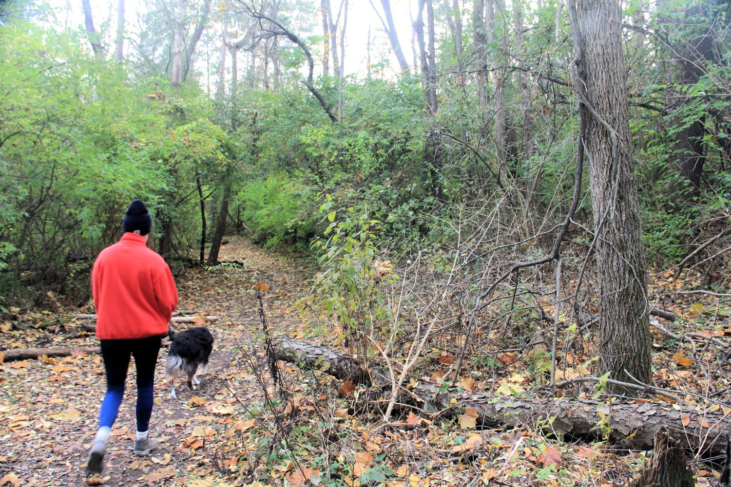 Rock Cut State Park 